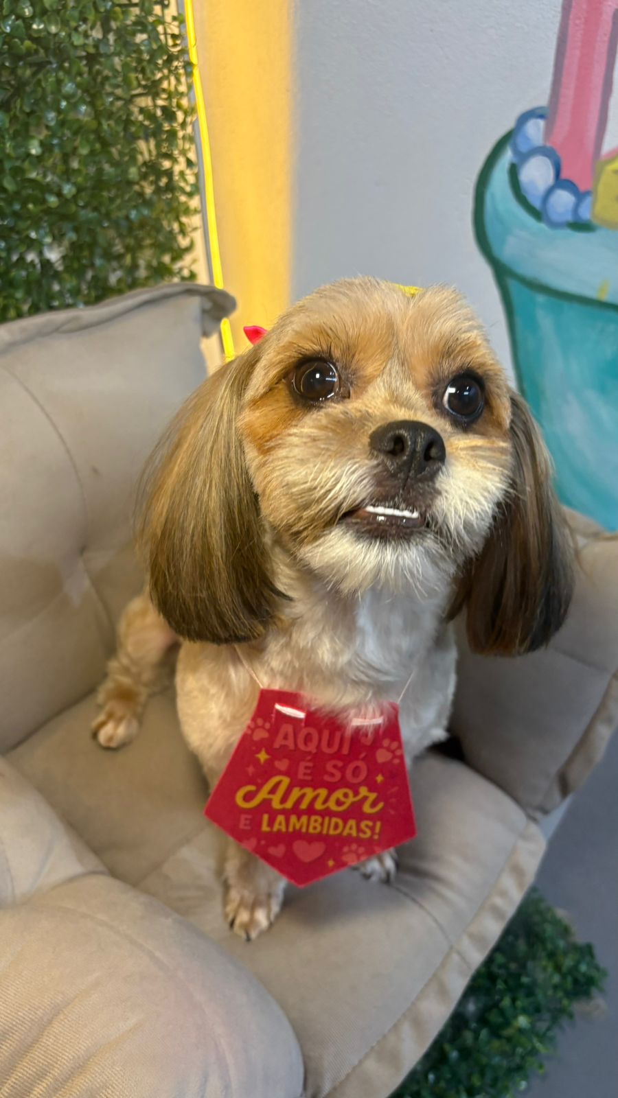 Cachorrinho feliz